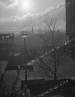 No Thumbnail but may still be an Image